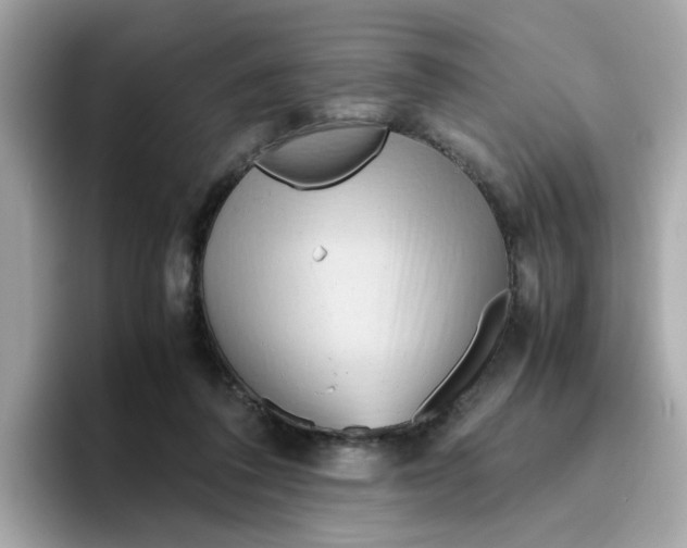 X0000096460308200802141537