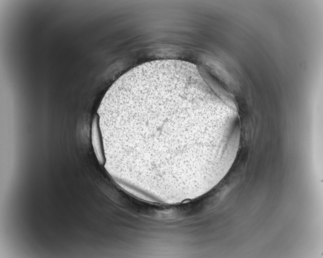 X0000096460309200802141537