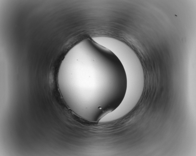 X0000096460312200802141537
