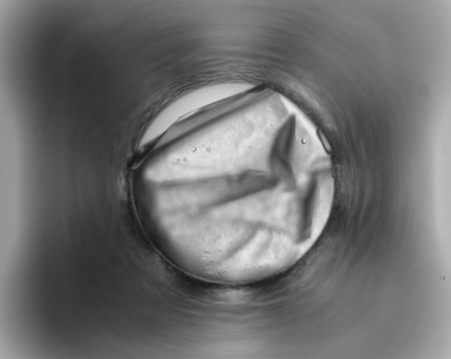 X0000096460313200802141537