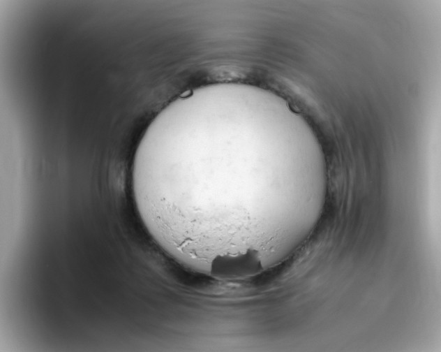 X0000096460315200802141537