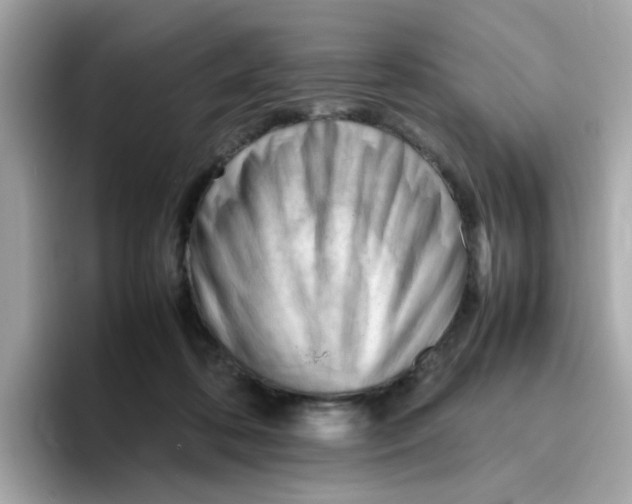 X0000096460316200802141537