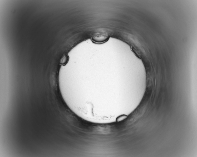 X0000096460317200802141537