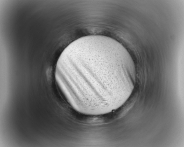 X0000096460319200802141537
