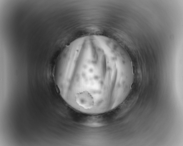 X0000096460320200802141537