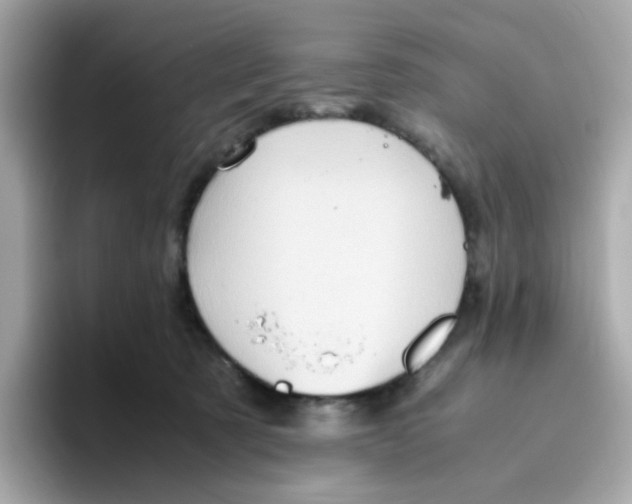 X0000096460321200802141537