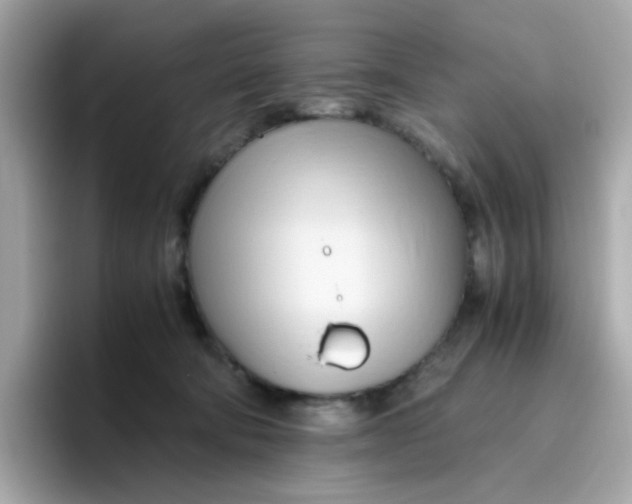 X0000096460322200802141537