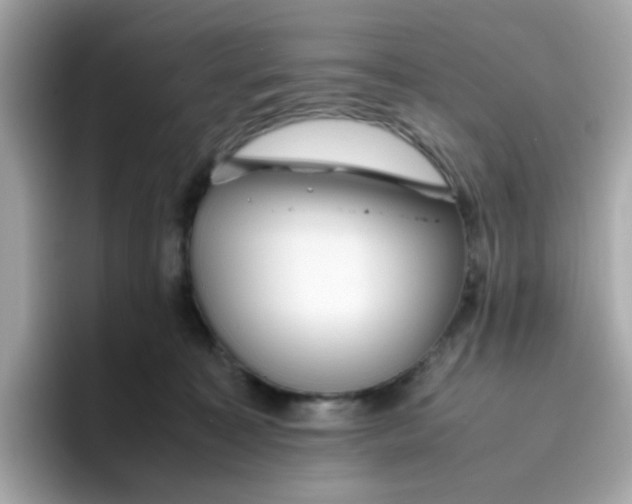 X0000096460323200802141537