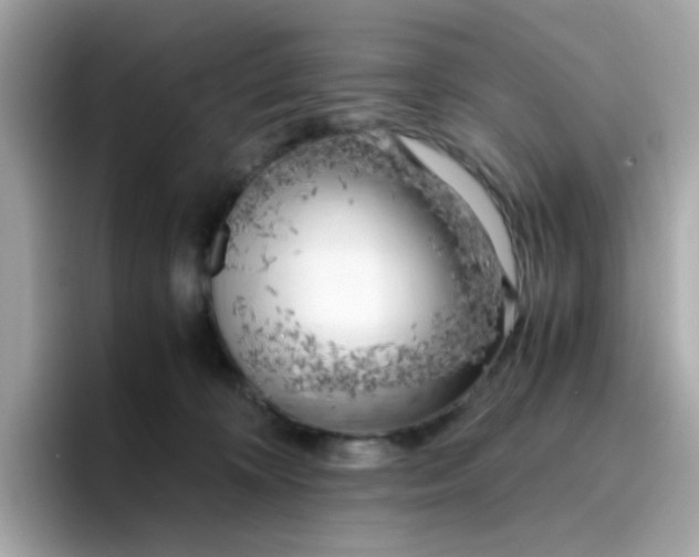 X0000096460324200802141537