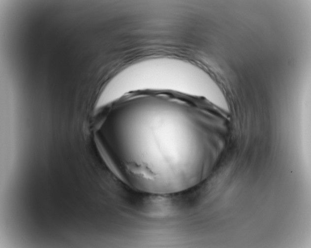 X0000096460325200802141537
