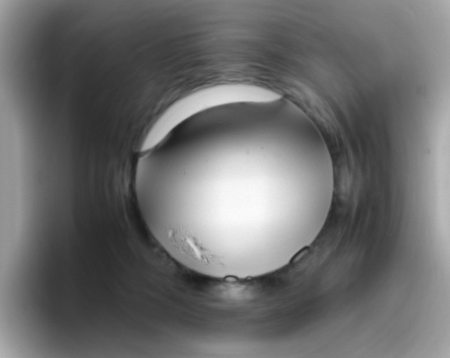 X0000096460326200802141537