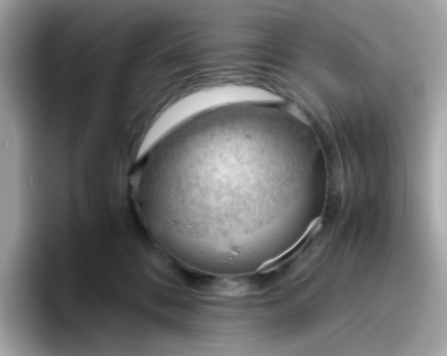 X0000096460328200802141537