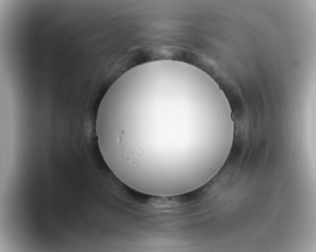 X0000096460331200802141537