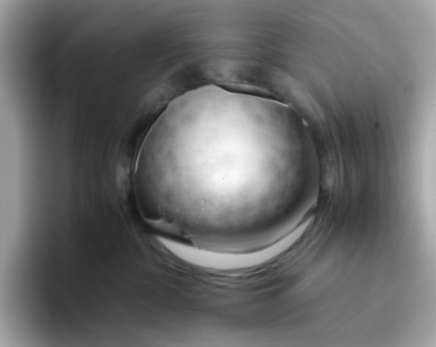 X0000096460332200802141537