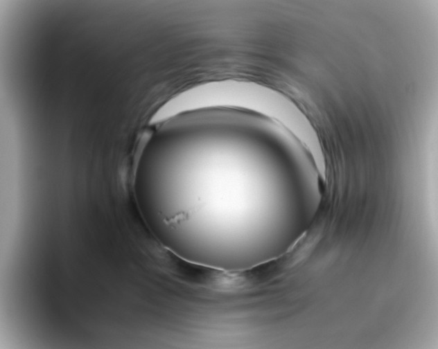 X0000096460333200802141537