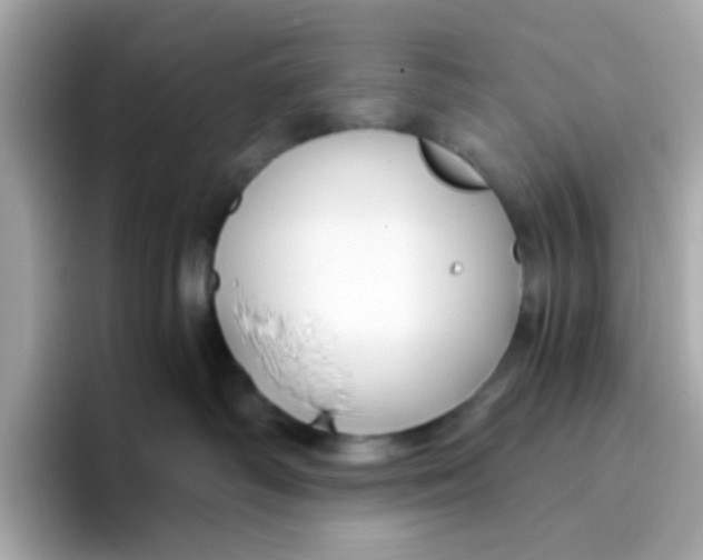 X0000096460334200802141537