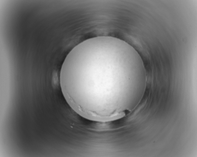 X0000096460335200802141537