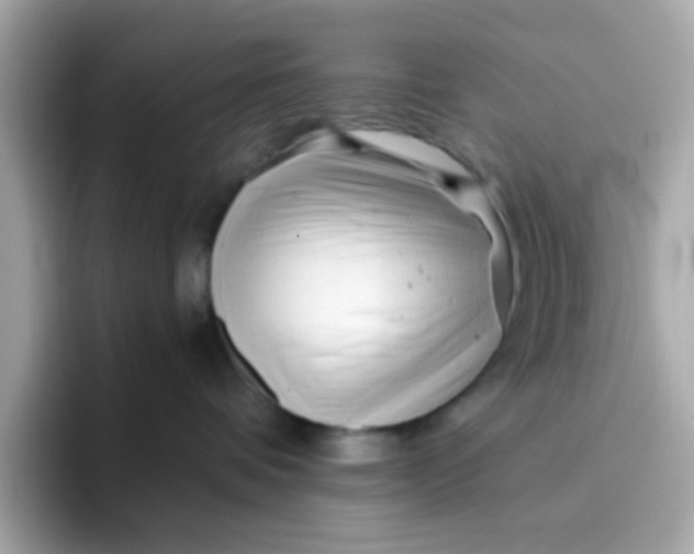 X0000096460336200802141537