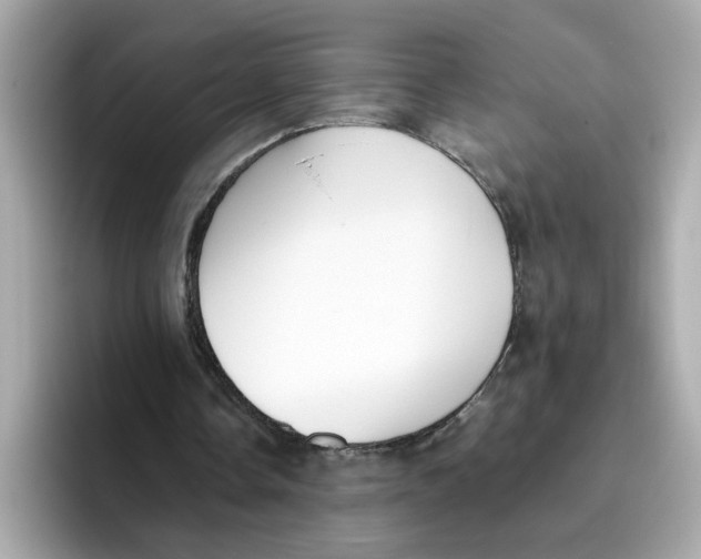 X0000096460338200802141536