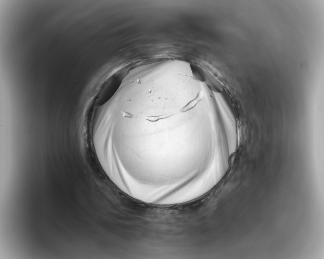 X0000096460339200802141536