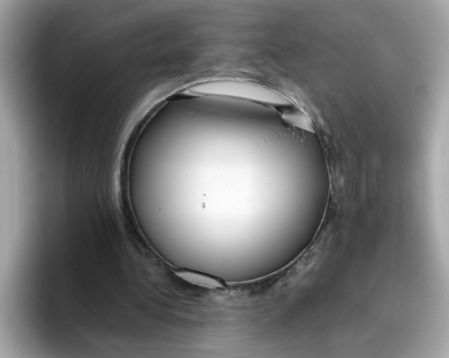 X0000096460340200802141536