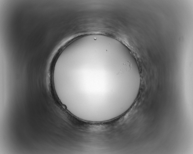 X0000096460342200802141536