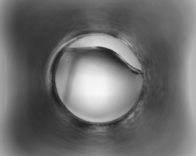 X0000096460343200802141536
