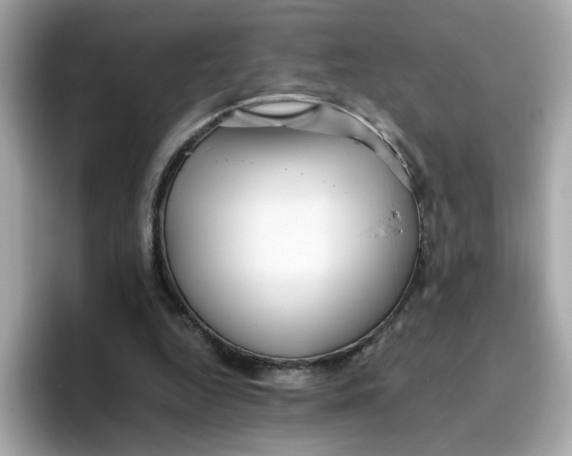 X0000096460344200802141536