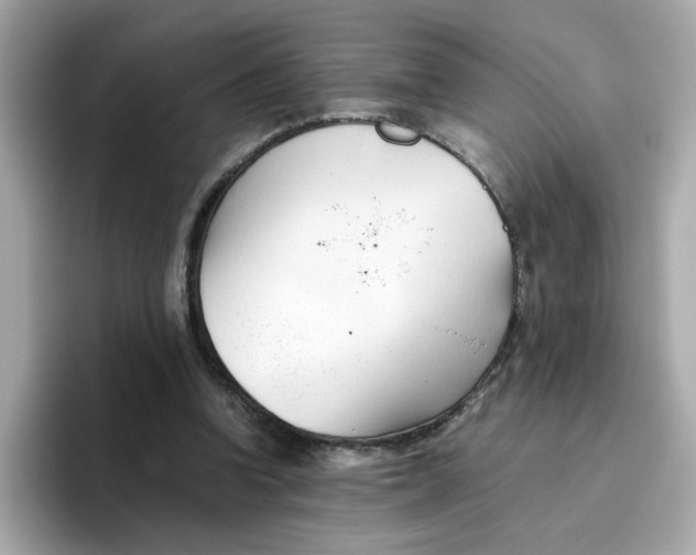 X0000096460346200802141536