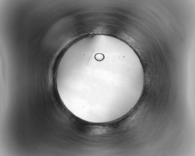 X0000096460347200802141536