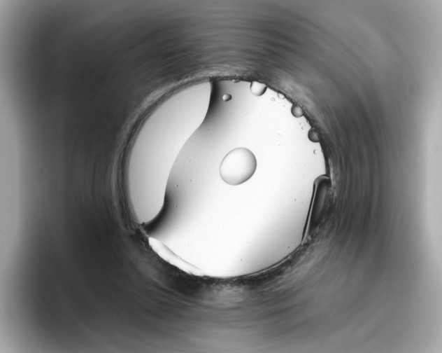 X0000096460348200802141537