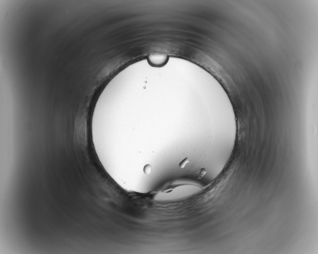 X0000096460349200802141537