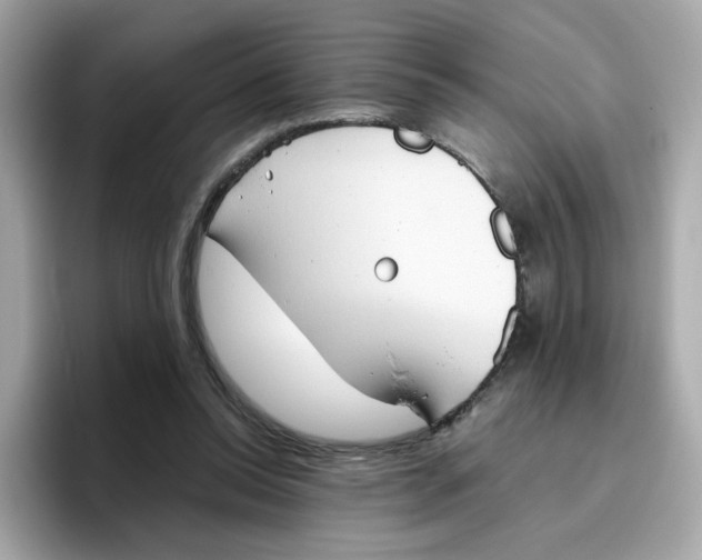 X0000096460350200802141537