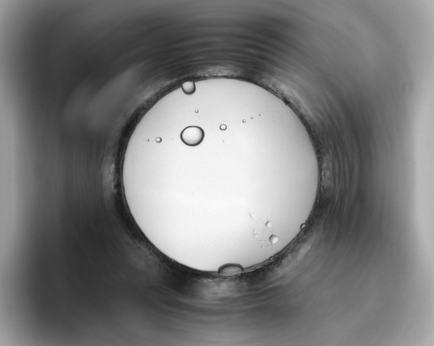 X0000096460351200802141537