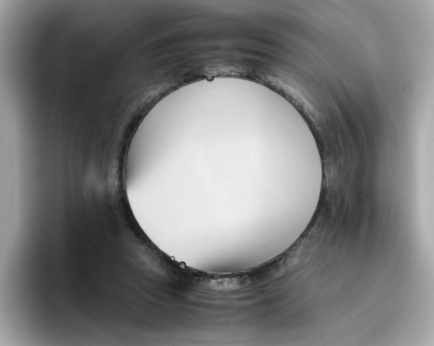 X0000096460353200802141537