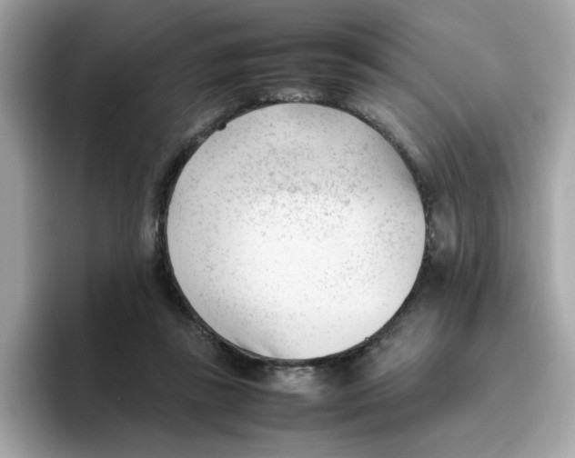 X0000096460355200802141537