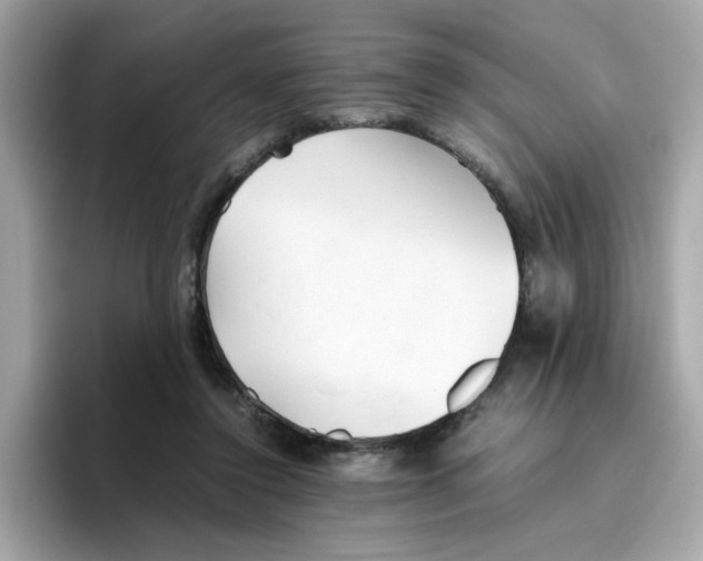 X0000096460356200802141537