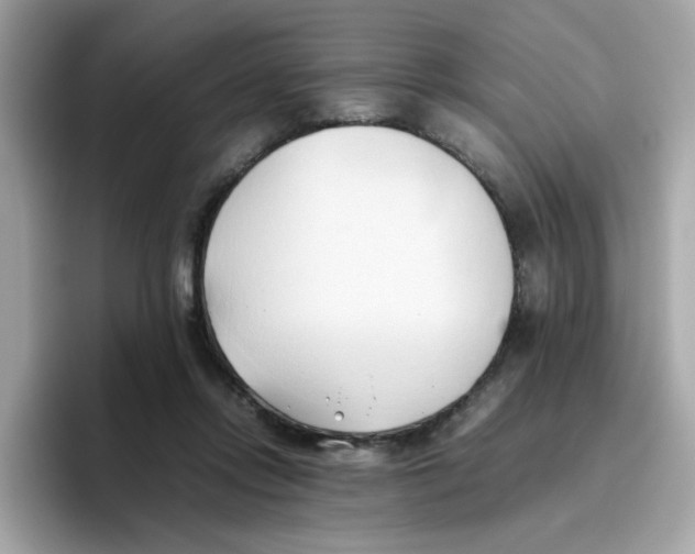 X0000096460358200802141537