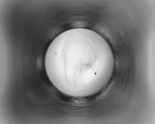 X0000096460359200802141537