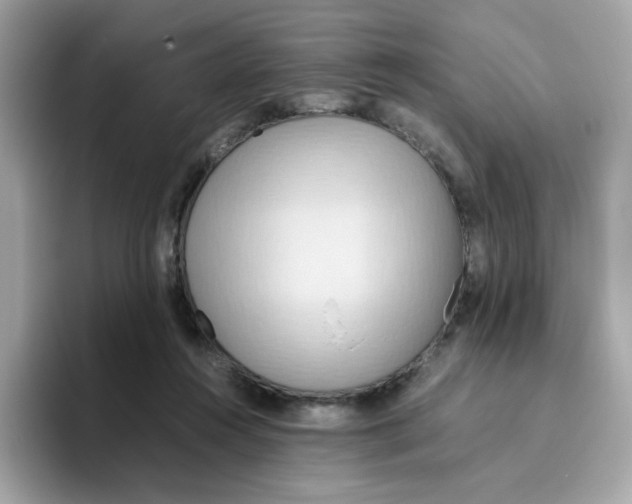 X0000096460360200802141537