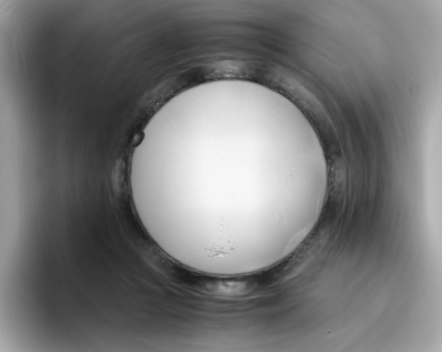 X0000096460361200802141537