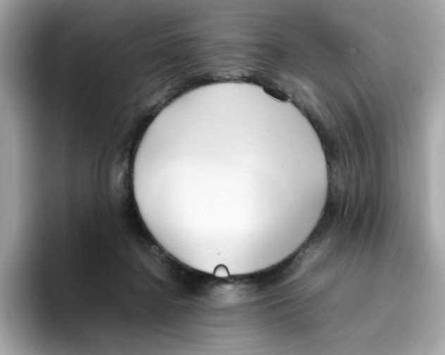 X0000096460364200802141537