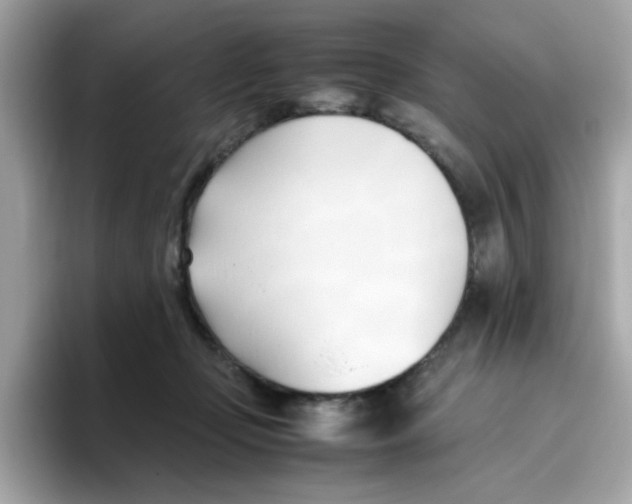X0000096460365200802141537