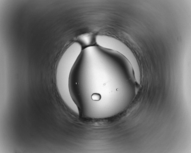 X0000096460368200802141537