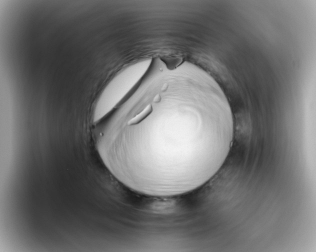 X0000096460369200802141537