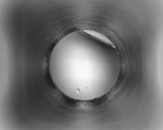 X0000096460372200802141537