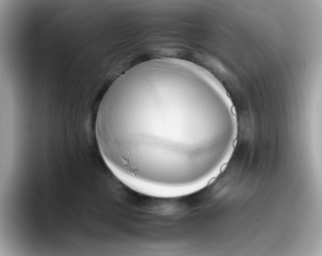 X0000096460377200802141537