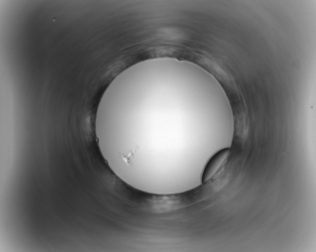 X0000096460378200802141537