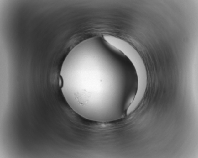 X0000096460379200802141537