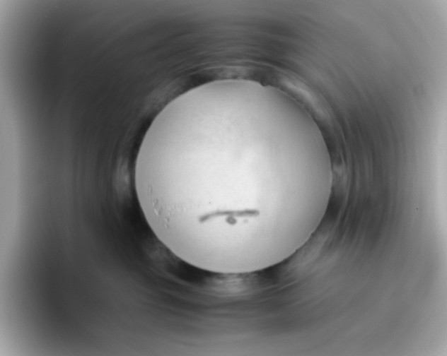 X0000096460381200802141537